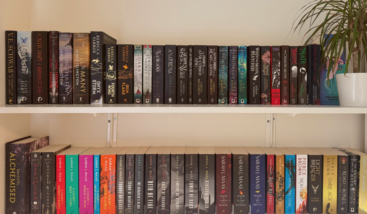 Bookshelves filled with fantasy and romantasy books