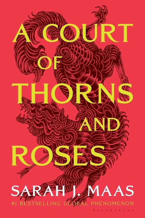 A Court of Thorns and Roses Series by Sarah J. Maas book cover